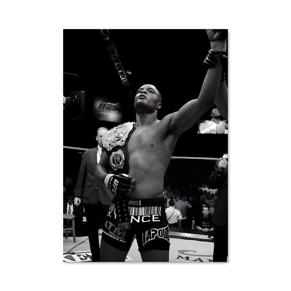 Poster Anderson de silva